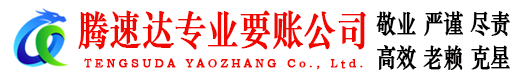 谢家集要账公司